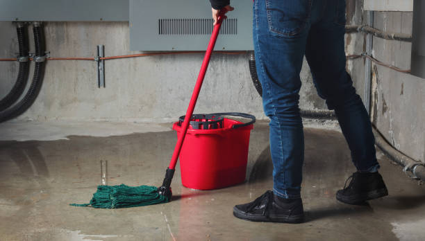 Best Local water damage restoration  in Valley View, PA