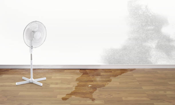 Best Water damage cleanup near me  in Valley View, PA