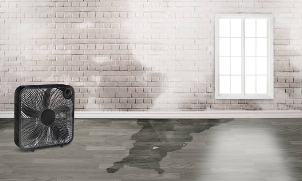 Fire Damage Restoration in Valley View, PA