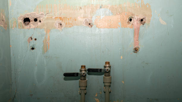 Best Ceiling water damage repair  in Valley View, PA