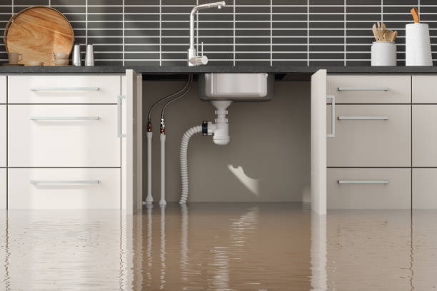 Best Flood damage cleanup  in Valley View, PA