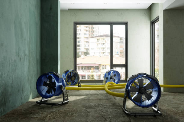 Best Professional water damage repair  in Valley View, PA